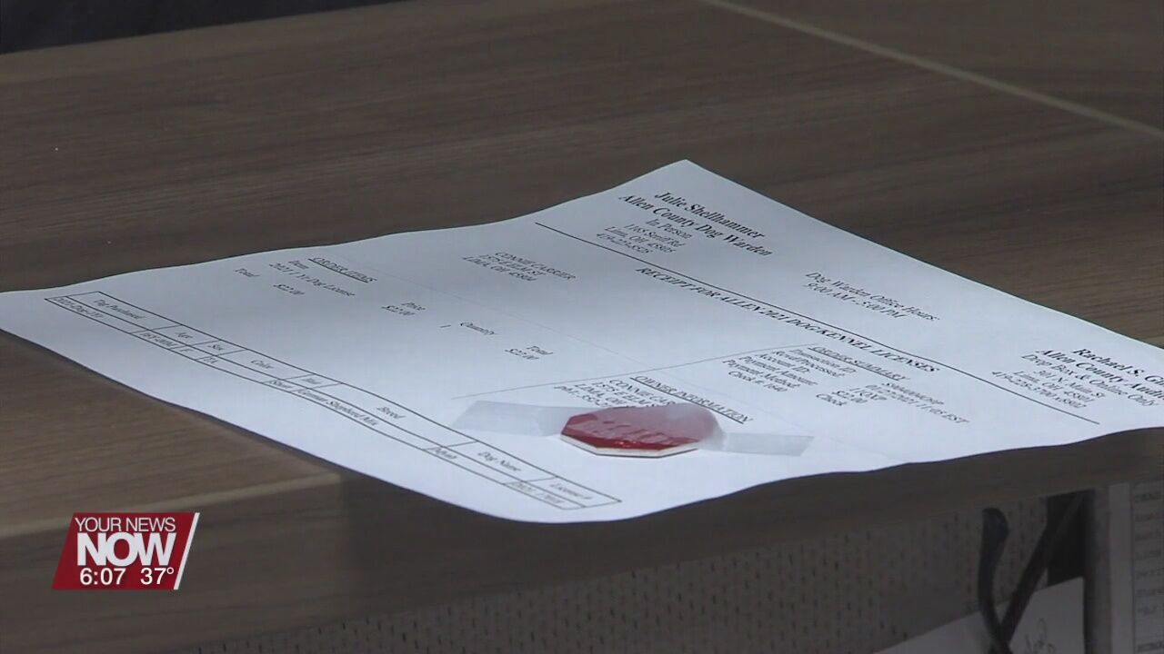 Allen County dog licenses and tags available to purchase before end of January 2022